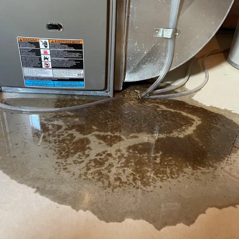 Appliance Leak Cleanup in Orange County, VT